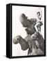 Circus Performer Posing on Elephant-null-Framed Stretched Canvas