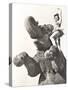 Circus Performer Posing on Elephant-null-Stretched Canvas