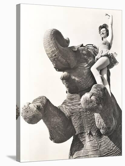 Circus Performer Posing on Elephant-null-Stretched Canvas