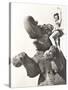 Circus Performer Posing on Elephant-null-Stretched Canvas