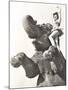 Circus Performer Posing on Elephant-null-Mounted Photo