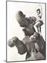 Circus Performer Posing on Elephant-null-Mounted Photo