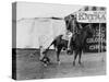Circus Performer Pulling Horses Tail-null-Stretched Canvas