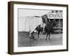 Circus Performer Pulling Horses Tail-null-Framed Photo