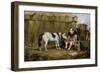 Circus, Pony and Clown-Samuel Henry Alken-Framed Giclee Print