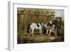 Circus, Pony and Clown-Samuel Henry Alken-Framed Giclee Print