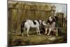 Circus, Pony and Clown-Samuel Henry Alken-Mounted Giclee Print