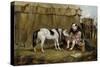 Circus, Pony and Clown-Samuel Henry Alken-Stretched Canvas
