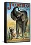 Circus Poster-null-Framed Stretched Canvas