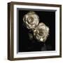 Circus Roses-Michael Harrison-Framed Giclee Print