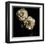 Circus Roses-Michael Harrison-Framed Art Print