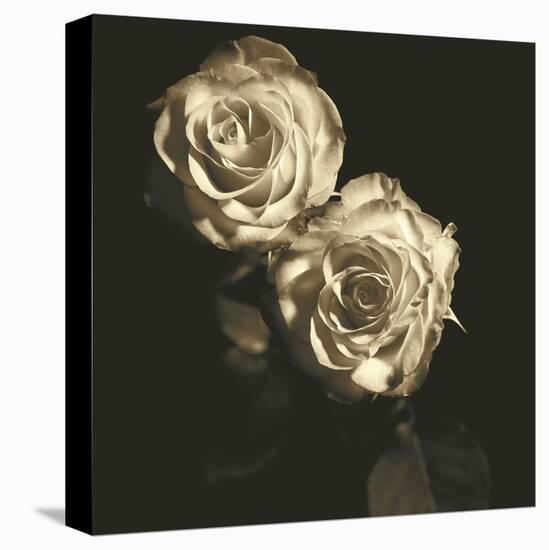 Circus Roses-Michael Harrison-Stretched Canvas