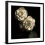 Circus Roses-Michael Harrison-Framed Art Print