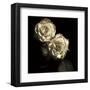 Circus Roses-Michael Harrison-Framed Art Print