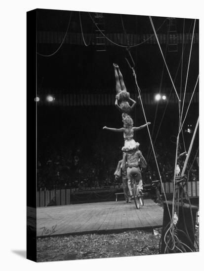 Circus Stacked Up Trio Casually Bicycling around the Board-Ralph Morse-Stretched Canvas