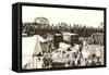 Circus Train-null-Framed Stretched Canvas