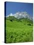 Cirque De Lescun, Le Billare, Pyrenees, Bearn, Aquitaine, France, Europe-David Hughes-Stretched Canvas