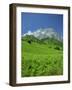 Cirque De Lescun, Le Billare, Pyrenees, Bearn, Aquitaine, France, Europe-David Hughes-Framed Photographic Print