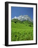 Cirque De Lescun, Le Billare, Pyrenees, Bearn, Aquitaine, France, Europe-David Hughes-Framed Photographic Print