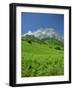 Cirque De Lescun, Le Billare, Pyrenees, Bearn, Aquitaine, France, Europe-David Hughes-Framed Photographic Print