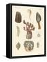 Cirrhipodas, Bristleworms or Brachiopods-null-Framed Stretched Canvas