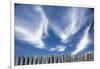 Cirrus Clouds in Summer Sky-Paul Souders-Framed Premium Photographic Print