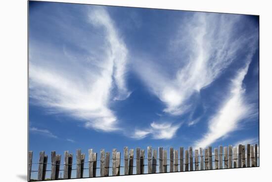 Cirrus Clouds in Summer Sky-Paul Souders-Mounted Premium Photographic Print