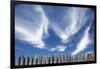 Cirrus Clouds in Summer Sky-Paul Souders-Framed Premium Photographic Print
