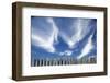 Cirrus Clouds in Summer Sky-Paul Souders-Framed Premium Photographic Print