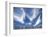 Cirrus Clouds in Summer Sky-Paul Souders-Framed Premium Photographic Print