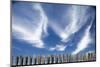 Cirrus Clouds in Summer Sky-Paul Souders-Mounted Premium Photographic Print