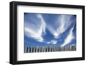 Cirrus Clouds in Summer Sky-Paul Souders-Framed Photographic Print