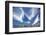 Cirrus Clouds in Summer Sky-Paul Souders-Framed Photographic Print