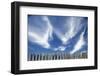 Cirrus Clouds in Summer Sky-Paul Souders-Framed Photographic Print