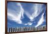 Cirrus Clouds in Summer Sky-Paul Souders-Framed Photographic Print