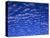 Cirrus Clouds-James Randklev-Stretched Canvas