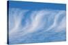 Cirrus clouds-Jim Engelbrecht-Stretched Canvas