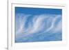 Cirrus clouds-Jim Engelbrecht-Framed Photographic Print