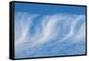 Cirrus clouds-Jim Engelbrecht-Framed Stretched Canvas