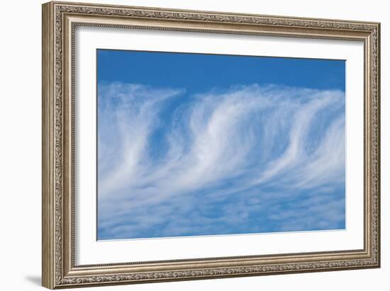 Cirrus clouds-Jim Engelbrecht-Framed Photographic Print