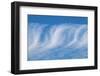 Cirrus clouds-Jim Engelbrecht-Framed Photographic Print