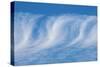 Cirrus clouds-Jim Engelbrecht-Stretched Canvas