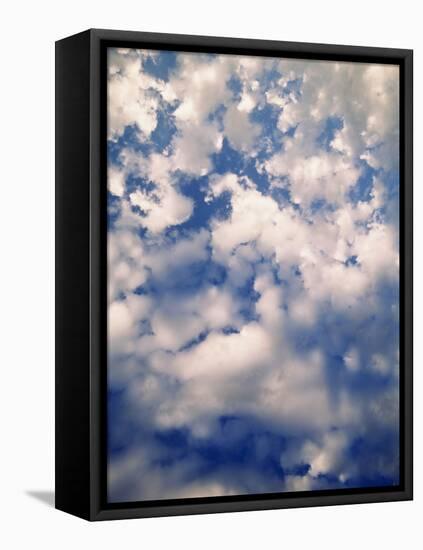 Cirtus Clouds Atop Hurricane, Olympic National Park, Washington State, USA-Stuart Westmorland-Framed Stretched Canvas