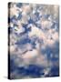 Cirtus Clouds Atop Hurricane, Olympic National Park, Washington State, USA-Stuart Westmorland-Stretched Canvas