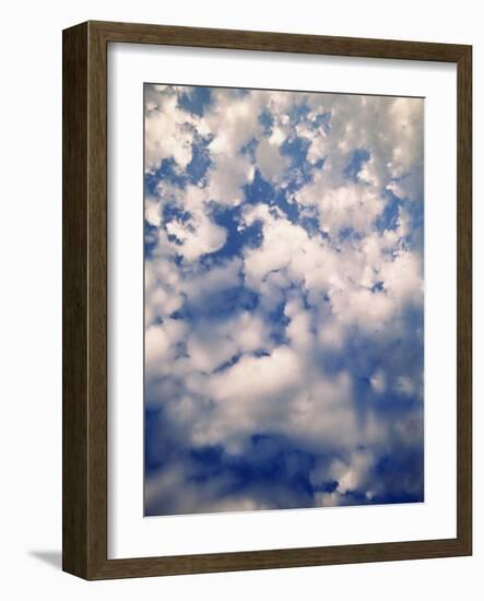 Cirtus Clouds Atop Hurricane, Olympic National Park, Washington State, USA-Stuart Westmorland-Framed Photographic Print