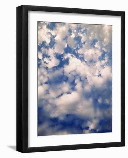 Cirtus Clouds Atop Hurricane, Olympic National Park, Washington State, USA-Stuart Westmorland-Framed Photographic Print