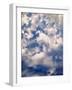 Cirtus Clouds Atop Hurricane, Olympic National Park, Washington State, USA-Stuart Westmorland-Framed Photographic Print