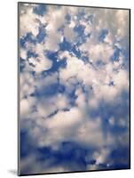 Cirtus Clouds Atop Hurricane, Olympic National Park, Washington State, USA-Stuart Westmorland-Mounted Photographic Print