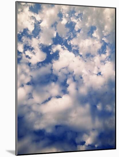 Cirtus Clouds Atop Hurricane, Olympic National Park, Washington State, USA-Stuart Westmorland-Mounted Photographic Print