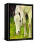 Cisco Sees-Blenda Tyvoll-Framed Stretched Canvas